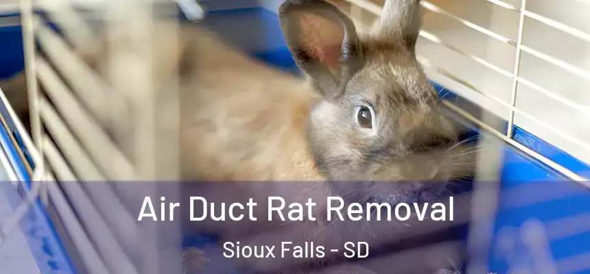 Air Duct Rat Removal Sioux Falls - SD