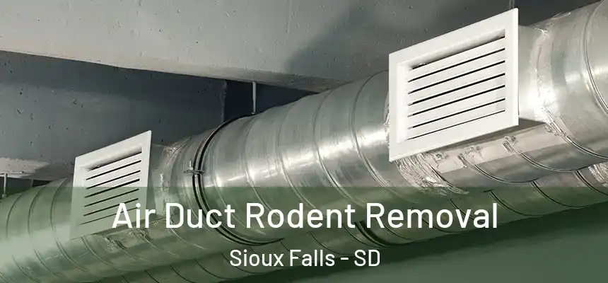 Air Duct Rodent Removal Sioux Falls - SD