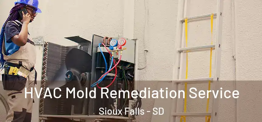 HVAC Mold Remediation Service Sioux Falls - SD
