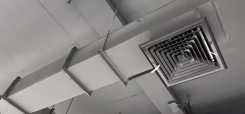 Our Rodent Droppings In Vents Services in Sioux Falls, SD