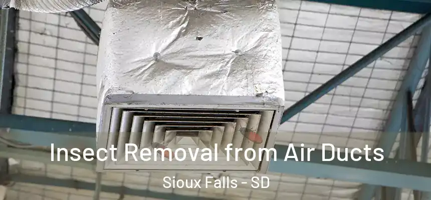 Insect Removal from Air Ducts Sioux Falls - SD