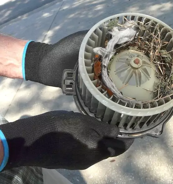 About Air Duct Rat Removal in Sioux Falls, SD