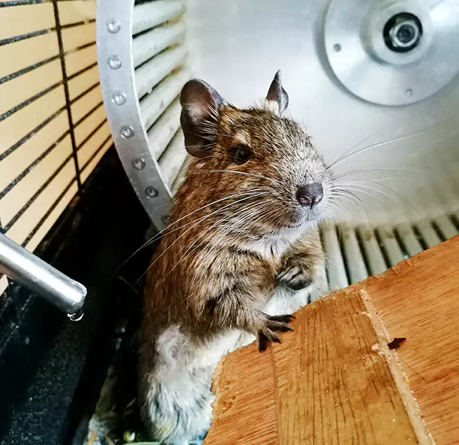 Why Homeowners & Businesses Trust Us Sioux Falls, SD